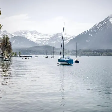 Award-winning On Thun- New * Thun